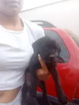 Zara,nix,Lilo,meg, Tor, Tata 