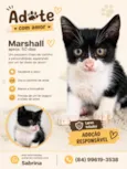 Marshall