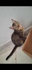 Nick