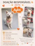 Ayka