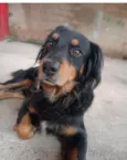 Bady