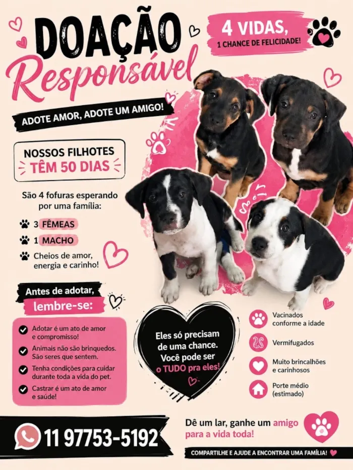 Cachorro raça SRD-ViraLata idade Abaixo de 2 meses nome Não definido 