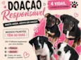 Não definido 
