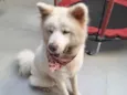 Ayka
