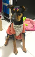 Nina