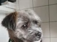 Astro