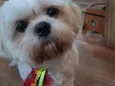 Cheetos