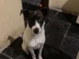 Luck