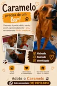 Caramelo