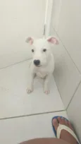 Kyara