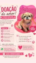 Melzinha