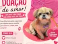 Melzinha