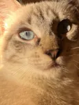 Kevin