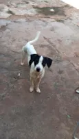 Lili