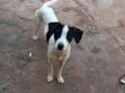 Lili
