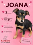 Joana