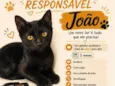 João