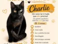 Charlie