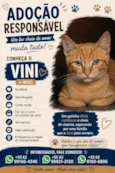 Vini