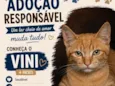 Vini
