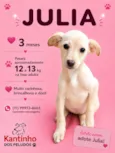 Julia