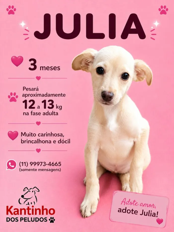 Cachorro raça SRD-ViraLata idade 2 a 6 meses nome Julia