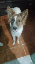 Mel