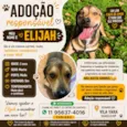 Elijah