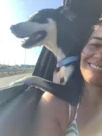 Penélope