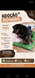 Preta