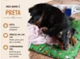 Preta