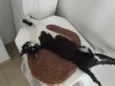 .