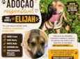Elijah