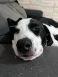 Miguel