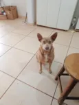 Cloe