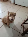 Cloe