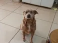 Cloe
