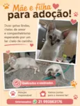 Chica e Lili