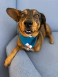 Osvaldo