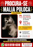 Malia Poloca