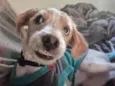 Théo