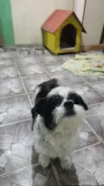 Bidu 