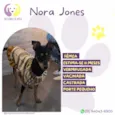 Nora Jones