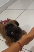 zoe 