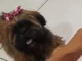 zoe 