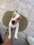 Skye