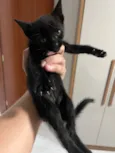 Nao tem 