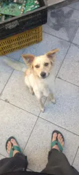 Billy