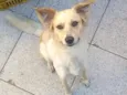 Billy