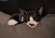 Sleep